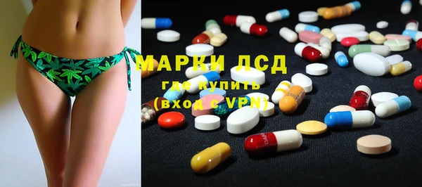 сатива Абинск