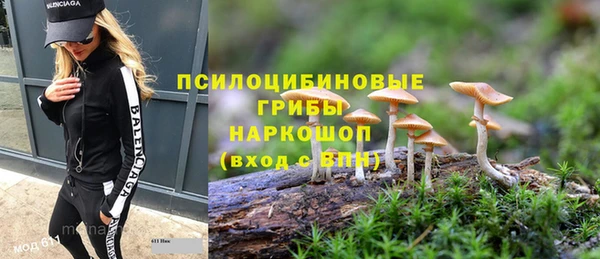 сатива Абинск