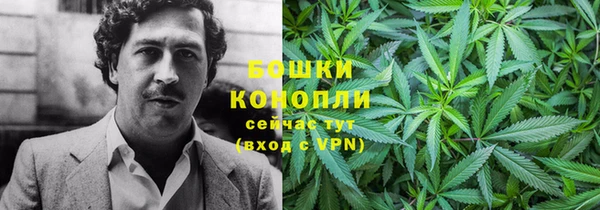 сатива Абинск