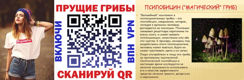 Псилоцибиновые грибы MAGIC MUSHROOMS  мега как зайти  Углегорск 